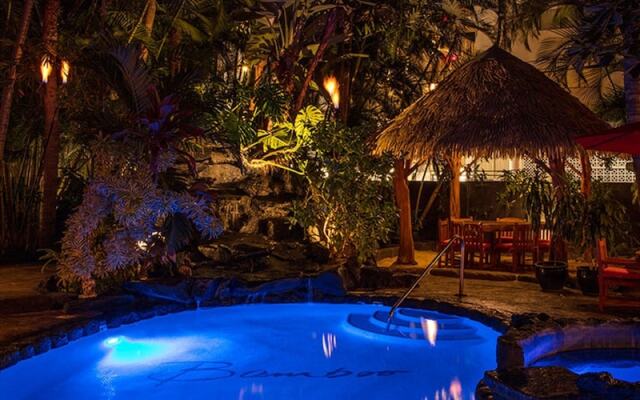 The Bamboo Waikiki 704