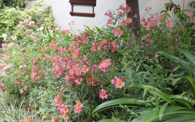 Blackheath Manor Guest House