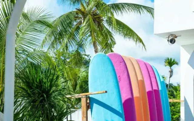 surfers garden