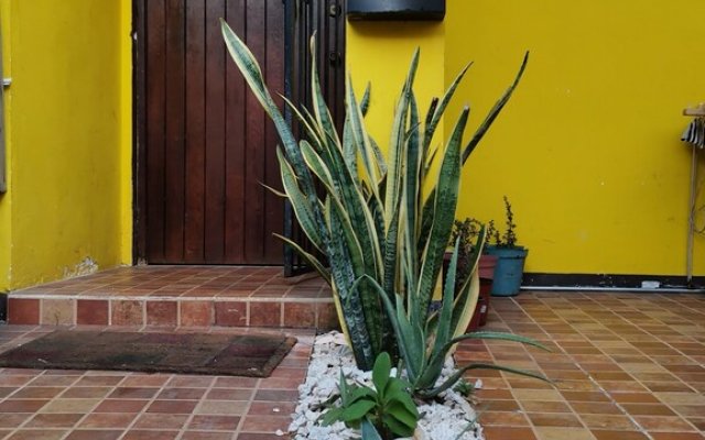 "casa Tortuga En Cancún"