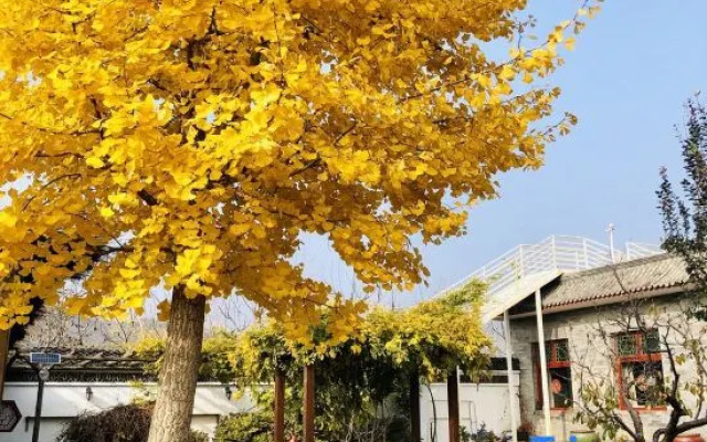 Beijing Ancient City Residence