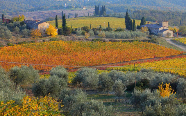 Siena UP Town - Sabrina's Cozy Apartment