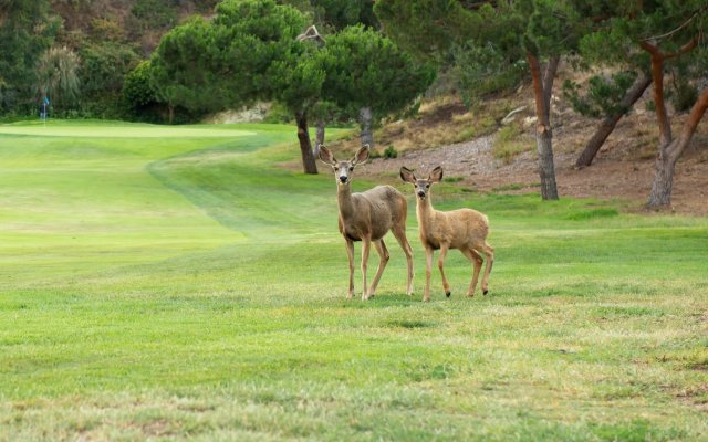 The Ranch at Laguna Beach