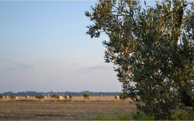 Agriturismo Pettinari