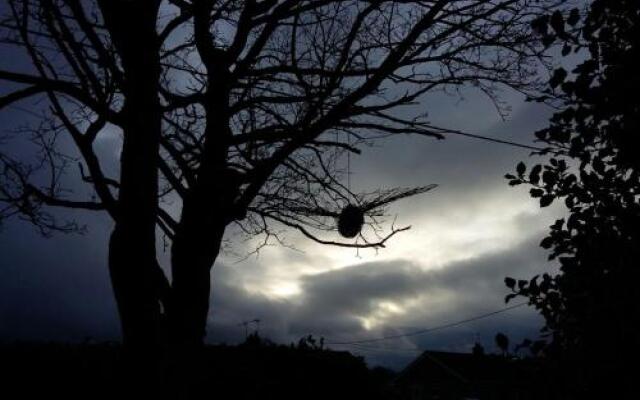 Tyto Alba Bed & Breakfast