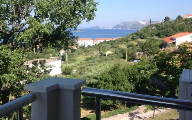 Apartment Biserka