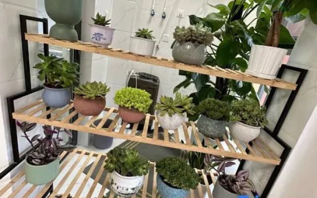 Kunming Ruining Homestay