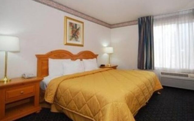 Comfort Inn At Sequoia Nationa