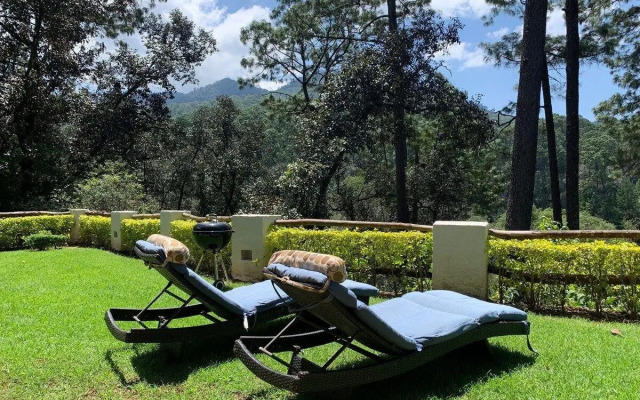 Casa en Medio del Bosque