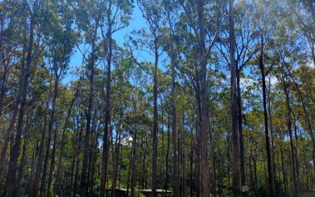 Lakes Entrance Log Cabins
