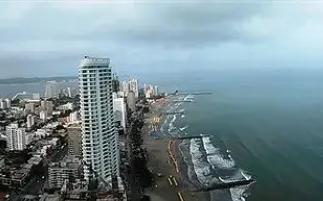 Penthouses Palmetto