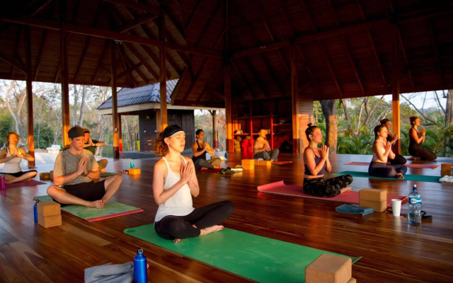 Bodhi Tree Yoga Resort