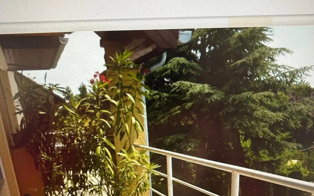 Alex Apartman