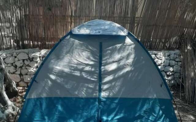Social Camping JAL