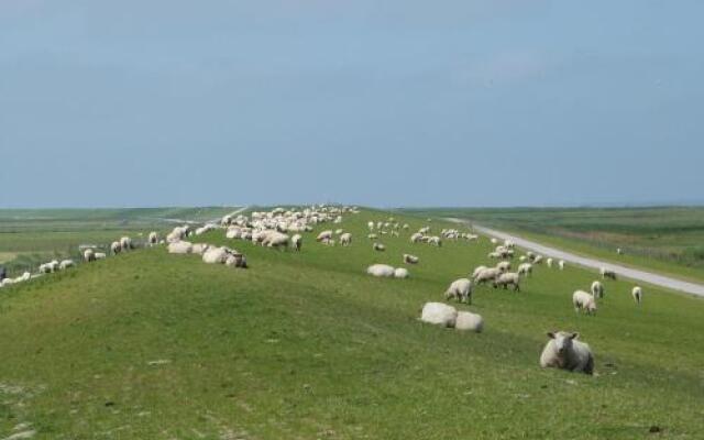 Wangeroogeweg 5a