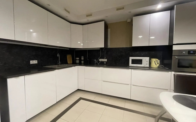 Apartments on Chekhov street 85