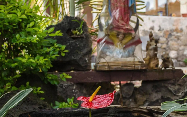 Posada La Casa de Ana Tepoztlan