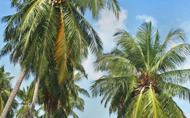Ruwala Resort