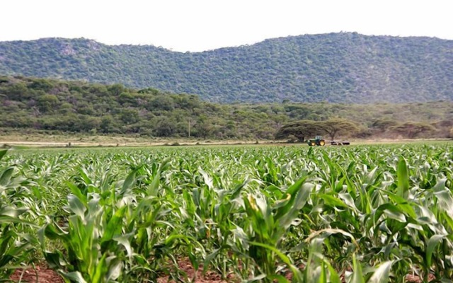 Ghaub Nature Reserve & Farm