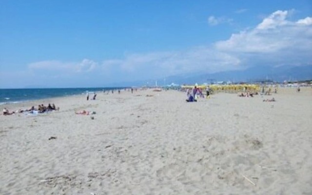 Chalet "la Dolce Vita " in Viareggio