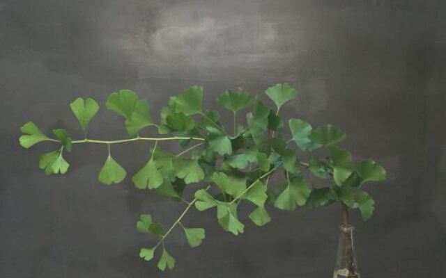 Luming Hotel (Chongqing Liujia Wharf)