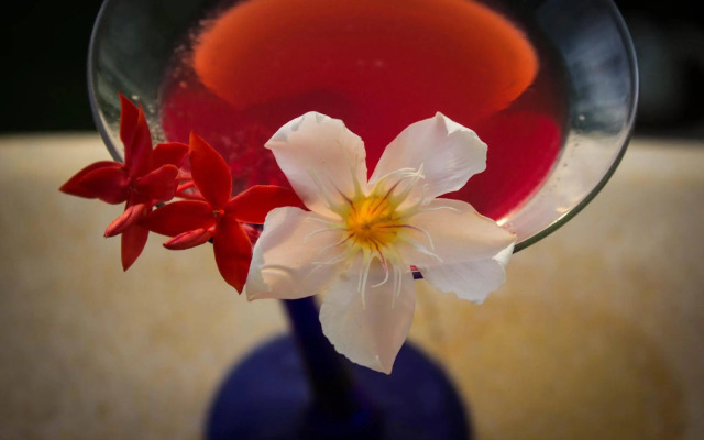 Suites & Hotel Punta Esmeralda