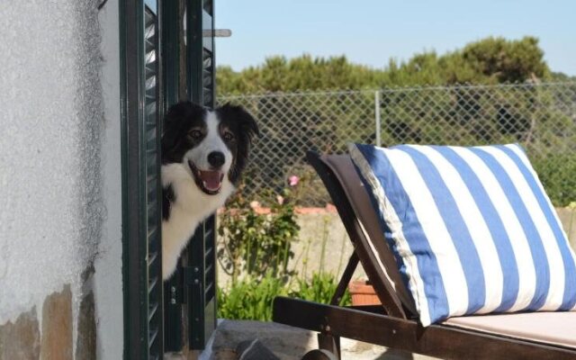 Casalinho De Santo António