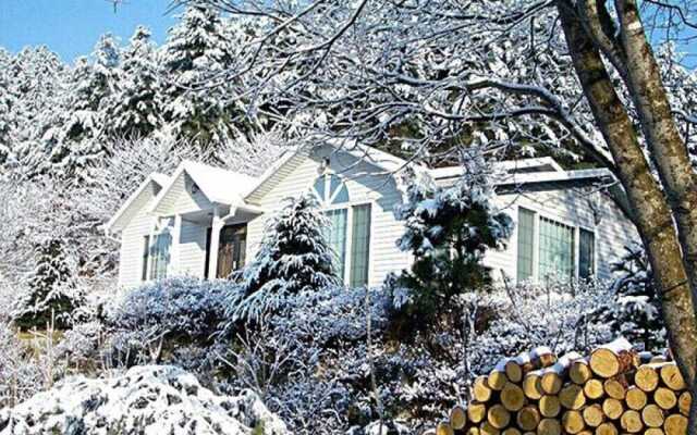 Seasonal Sky Pension