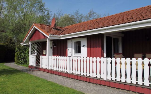 House Martin Otterndorf
