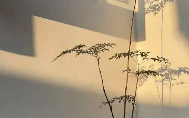 Tingxueyuan