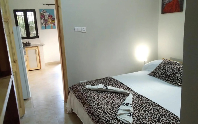 Real Owl Guest House