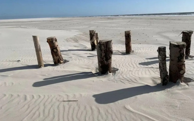 Hasennest Amrum Modern Retreat