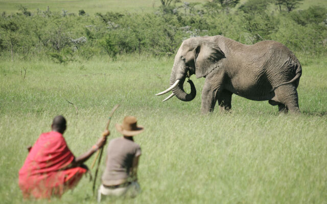 Naboisho Camp