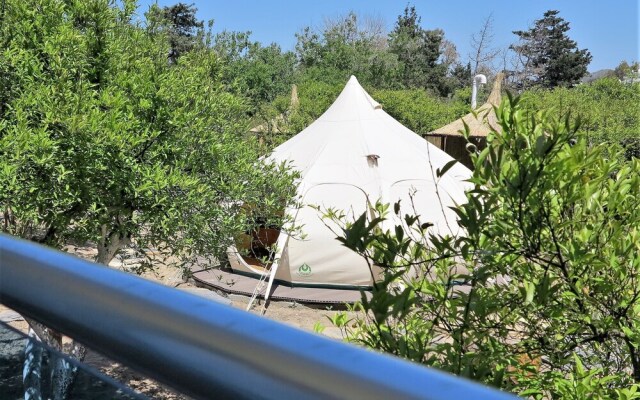 Azure Wellness Retreat - Adults Only