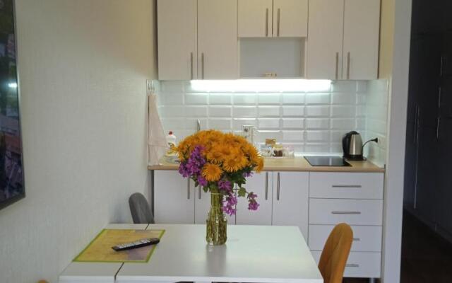 Roshka Apartment 307