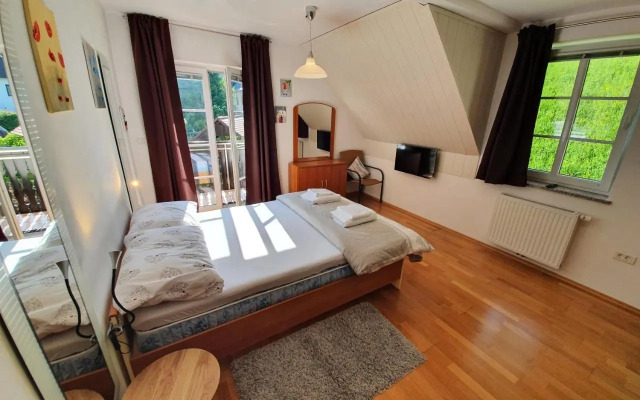 Apartman Irvin