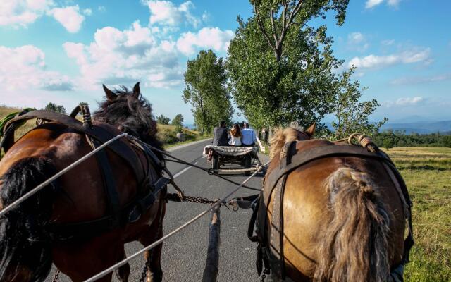 Unique chalet in Maramures, nature, fully equipped