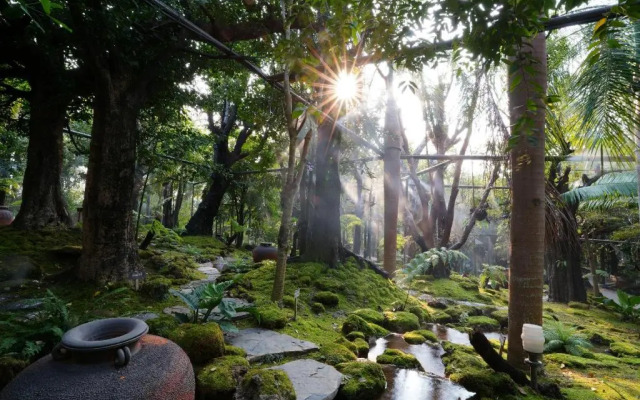 Tree Scape Retreat Resort