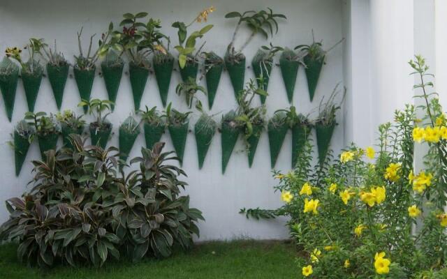 Orion Holidays Homestay