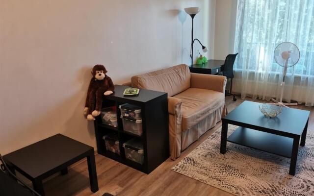 Scandinavian City Apartment