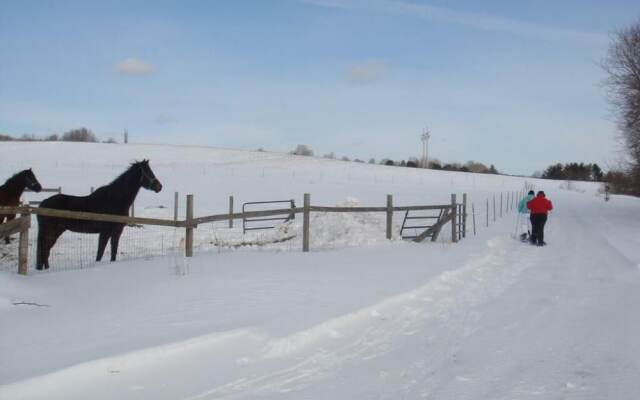 Heritage Meadows Farm B & B