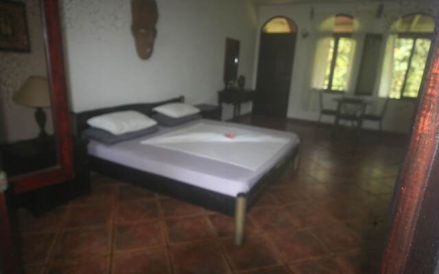 Paraiso del Cocodrilo