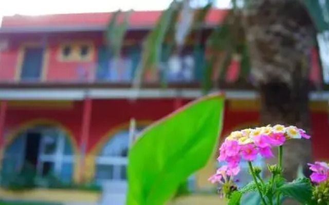 Skyline Rooms & Studios