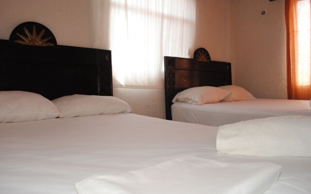 Lobo Inn - Hostel