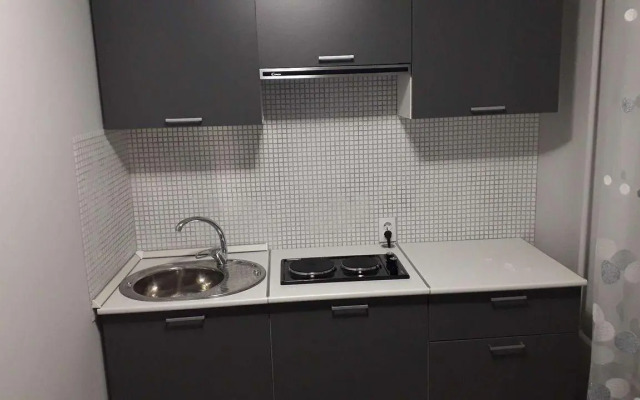 Апартаменты на улице Агурина 4