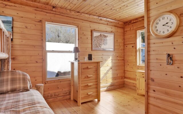 Binky's Mountain Hideaway #2455