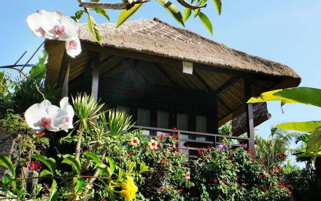 Samanvaya - Adults Only