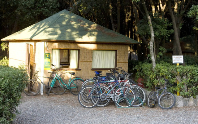 Villaggio Club Cecina