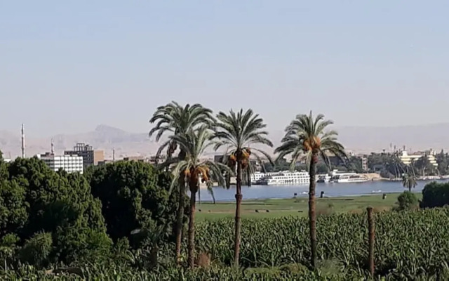 Nile Panorama
