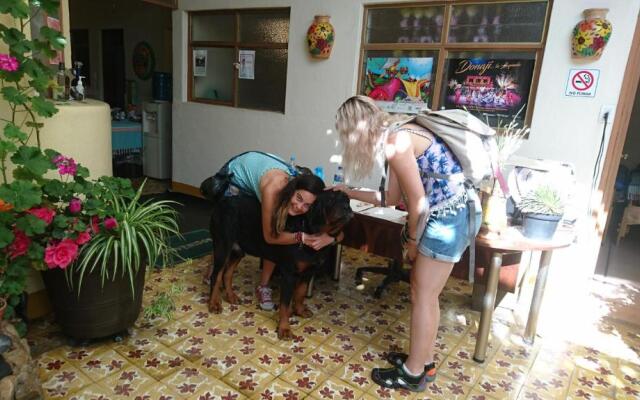 Hostal Mixteco Naba Nandoo